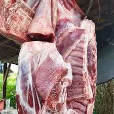 Daging Kambing Segar